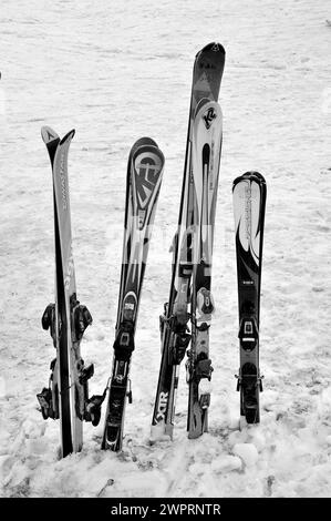Dynastar Skis, Kungdoor, Gulmarg, Baramulla, Kashmir, Jammu e Kashmir, India, Asia Foto Stock