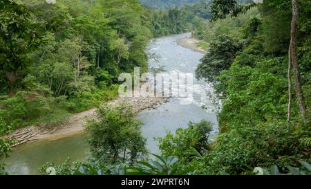 Vista panoramica del fiume Alas con la fitta foresta tropicale di Ketambe, il Parco Nazionale Gunung Leuser, Sumatra settentrionale, Indonesia Foto Stock