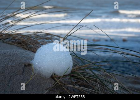 Una palla di schiuma su una duna sull'isola di Sylt, in Germania Foto Stock