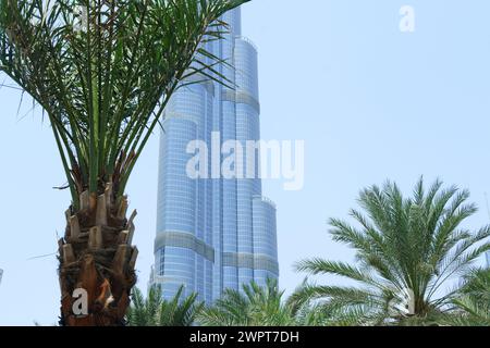L'iconico Burj Khalifa incombe su lussureggianti palme contro un cielo azzurro cristallino in uno splendido spettacolo di architettura urbana. Dubai, Emirati Arabi Uniti - 15 agosto 2023 Foto Stock