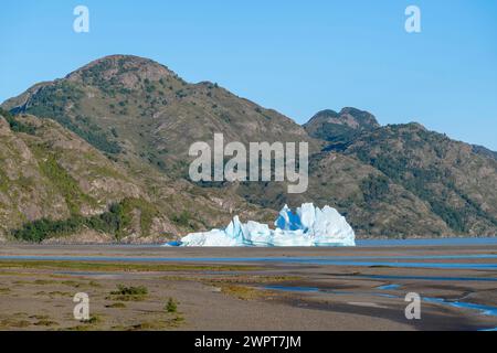 Iceberg in Lago Grey, Parco Nazionale Torres del Paine, Parque Nacional Torres del Paine, Cordillera del Paine, Torri del cielo Azzurro, regione de Foto Stock