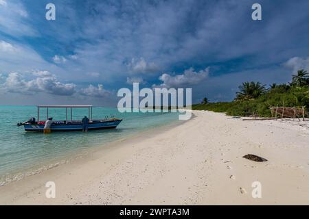 Spiaggia di sabbia bianca, isola Parli 1, arcipelago Lakshadweep, territorio dell'Unione dell'India Foto Stock