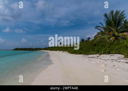 Spiaggia di sabbia bianca, isola Parli 1, arcipelago Lakshadweep, territorio dell'Unione dell'India Foto Stock