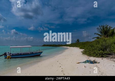 Spiaggia di sabbia bianca, isola Parli 1, arcipelago Lakshadweep, territorio dell'Unione dell'India Foto Stock