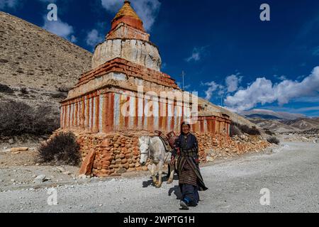 Donna con il suo cavallo, stupa buddista colorato di fronte al paesaggio di montagna, al paesaggio erosivo e alle case di Garphu dietro, Garphu Foto Stock