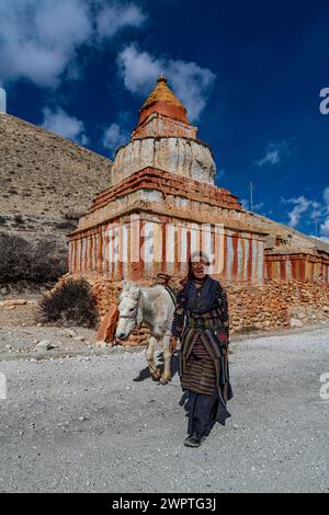 Donna con il suo cavallo, stupa buddista colorato di fronte al paesaggio di montagna, al paesaggio erosivo e alle case di Garphu dietro, Garphu Foto Stock