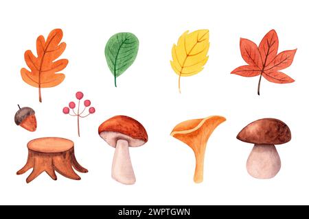 Set di piante autunnali acquerelli. Foglie, funghi, bacche, ghianda, ceppo d'albero. Illustrazione della foresta isolata su sfondo bianco. Foto Stock