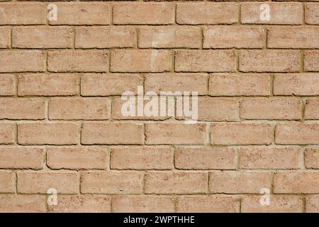 Fotografia ravvicinata di un muro realizzato con mattoni di adobe tradizionali, in una costruzione vicino alla città coloniale di Villa de Leyva, nel centro della Colombia. Foto Stock