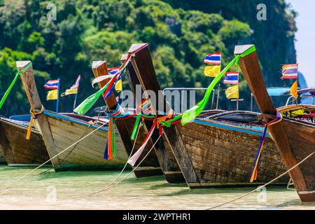 Barca a coda lunga per il trasporto di turisti, taxi d'acqua, taxi, traghetto, traghetto, barca da pesca, barca di legno, barca, decorata, tradizione Foto Stock