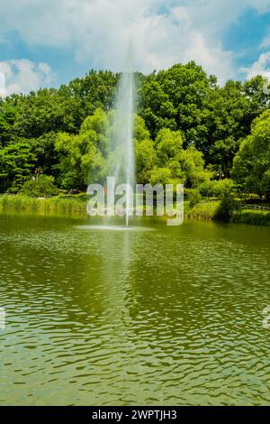Getto d'acqua verticale da una fontana in un tranquillo laghetto circondato dal verde del parco, in Corea del Sud Foto Stock