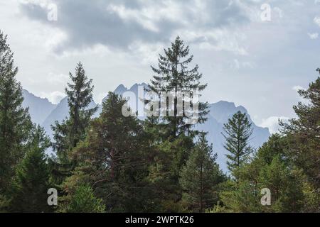 Montagne del Wetterstein con il massiccio dello Zugspitze e la foresta in autunno, sentiero escursionistico Kramerplateauweg, Garmisch-Partenkirchen, alta Baviera, Baviera Foto Stock