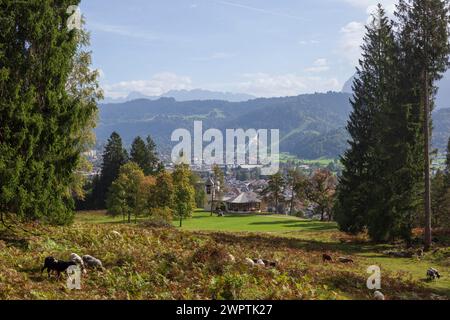 Panoramica di Garmisch-Partenkirchen con le montagne e la foresta del Karwendel in autunno, sentiero escursionistico Kramerplateauweg, Garmisch-Partenkirchen, alta Foto Stock