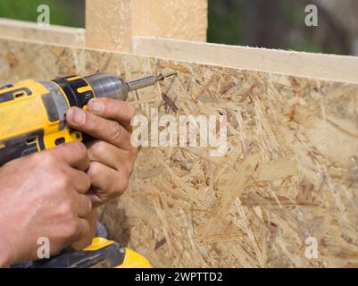 Falegname che lavora con un cacciavite elettrico giallo su un pannello di legno Foto Stock