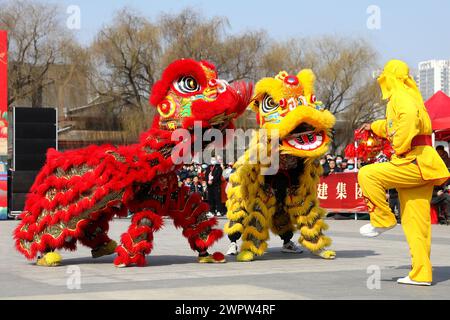 Zaozhuang, la provincia cinese di Shandong. 9 marzo 2024. Gli artisti folk danno uno spettacolo di danza del leone nella città di Zaozhuang, nella provincia di Shandong della Cina orientale, 9 marzo 2024. Si sono svolte varie celebrazioni per il prossimo Longtaitou Day, una giornata tradizionale per un nuovo taglio di capelli dopo il Festival di primavera. Il giorno di Longtaitou, che letteralmente significa "drago solleva la testa", cade il secondo giorno del secondo mese lunare. Crediti: Sun Yang/Xinhua/Alamy Live News Foto Stock