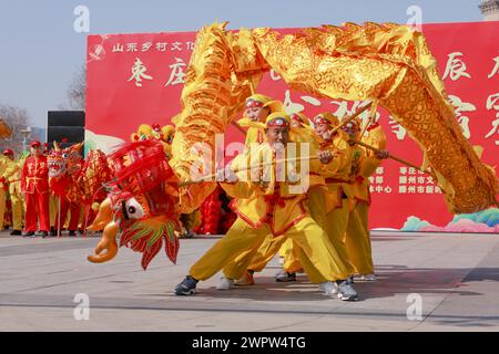 Zaozhuang, la provincia cinese di Shandong. 9 marzo 2024. Gli artisti folk danno uno spettacolo di danza drago nella città di Zaozhuang, nella provincia di Shandong della Cina orientale, 9 marzo 2024. Si sono svolte varie celebrazioni per il prossimo Longtaitou Day, una giornata tradizionale per un nuovo taglio di capelli dopo il Festival di primavera. Il giorno di Longtaitou, che letteralmente significa "drago solleva la testa", cade il secondo giorno del secondo mese lunare. Crediti: Wang Longfei/Xinhua/Alamy Live News Foto Stock