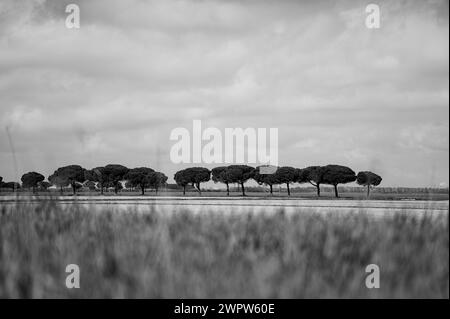Lido di Dante, Foce dei fiumi Uniti Foto Stock