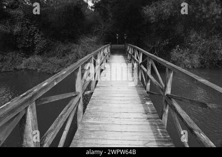 Lido di Dante, Foce dei fiumi Uniti Foto Stock
