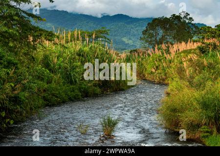 Il tranquillo fiume del Rio Arenal, vicino al vulcano Arenal e la Fortuna, Costa Rica Foto Stock