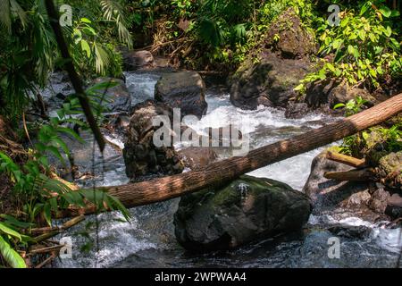 Il tranquillo fiume del Rio Arenal, vicino al vulcano Arenal e la Fortuna, Costa Rica Foto Stock