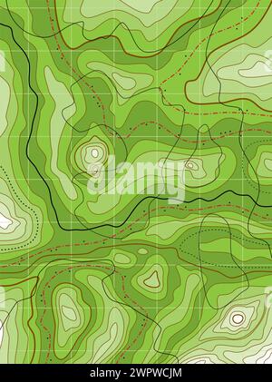 mappa verde topografica astratta vettoriale senza nomi Illustrazione Vettoriale