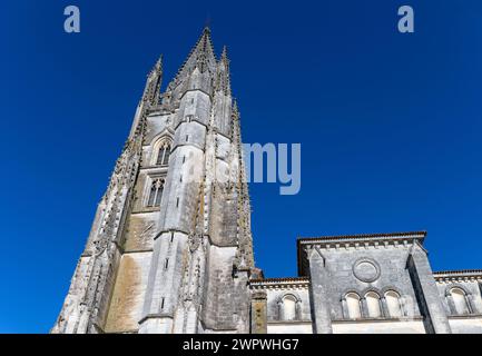 Europa, Francia, Nouvelle-Aquitaine, Saintes, Basilique Saint Eutrope de Saintes che mostra la Viola gotica fiammeggiante Foto Stock