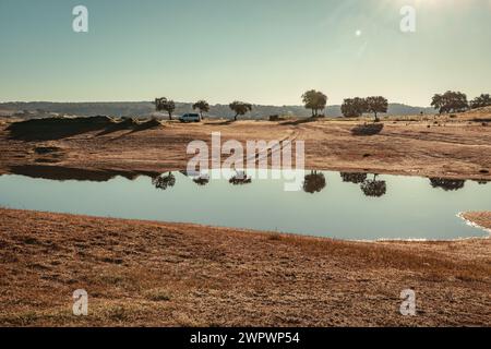 Paesaggio del bacino idrico della diga Pego do Altar a Santa Susana Alentejo Foto Stock