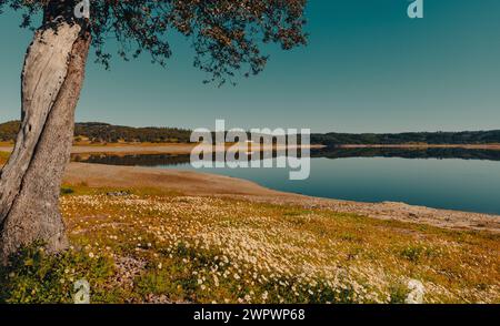 Paesaggio del bacino idrico della diga Pego do Altar a Santa Susana Alentejo Foto Stock