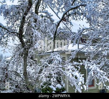 Una casa verde ricoperta di neve con ghiaccio bianco Foto Stock