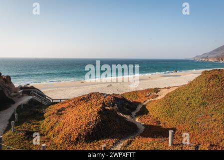 La costa frastagliata del Garrapata State Park in California Foto Stock