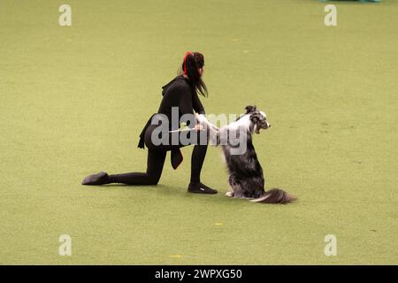 Birmingham Regno Unito. 9 marzo 2024. Crufts 2024 Internatonal Freestyle Heelwork to Music Genting Arena, Main Arena crediti: victoria elsmore/Alamy Live News Foto Stock