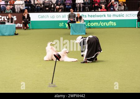 Birmingham Regno Unito. 9 marzo 2024. Crufts 2024 Internatonal Freestyle Heelwork to Music Genting Arena, Main Arena crediti: victoria elsmore/Alamy Live News Foto Stock
