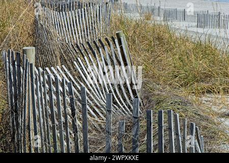 Una linea di recinzione di sabbia intemprata tra le dune lungo la costa di Myrtle Beach Foto Stock