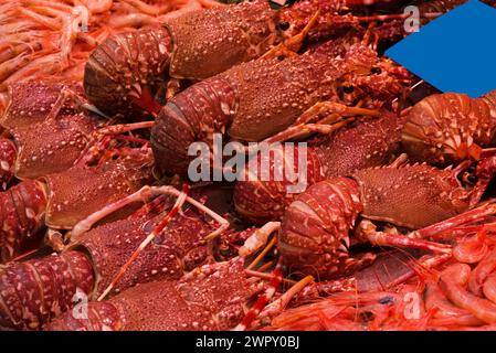 foto di cibo sano sul mercato Foto Stock