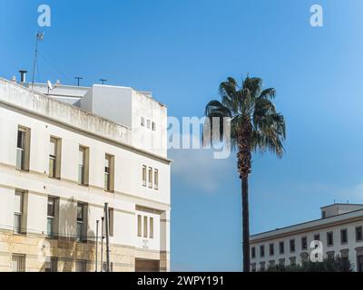 Tipico edificio bianco murato a Cadice con una palma contro il cielo blu durante l'estate, Andalusia, Spagna Foto Stock