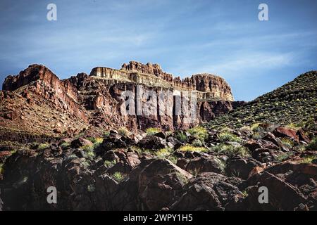 Le ripide pareti e gli strati rocciosi si innalzano lungo il fiume Colorado nel bacino del Grand Canyon in Arizona. Foto Stock