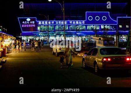 Città di Sokcho, Corea del Sud - 30 luglio 2019: Una vivace scena notturna al mercato del pesce del porto di Dongmyeong, che somiglia a una nave con le sue luci e la sua struttura Foto Stock