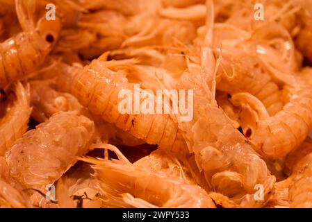 foto di cibo sano sul mercato Foto Stock