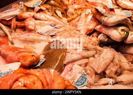 foto di cibo sano sul mercato Foto Stock