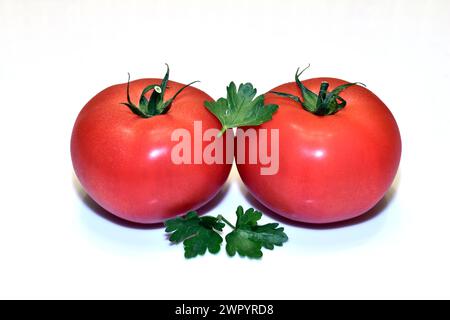 Due pomodori rossi maturi con foglie verdi giacciono su sfondo bianco. Foto Stock