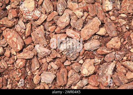 Struttura in legno, sfondo con posizione caotica degli elementi. Modello a mosaico di un tipo innovativo di pavimento. Corteccia di pino o pacciamatura. Prodotto in legno Foto Stock