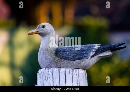 Manichino gabbiano seduto su un mucchio di legno di fronte a una siepe verde Foto Stock