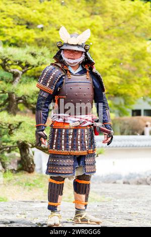 Uomo giapponese in piedi con armatura samurai color malva nel giardino del palazzo Honmaru nel castello di Tatsuno in Giappone. Petasl in fiore di ciliegio che fluttua giù. Foto Stock