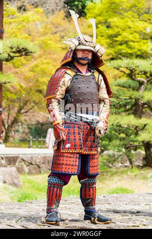 Uomo giapponese in piedi con armatura samurai color malva nel giardino del palazzo Honmaru nel castello di Tatsuno in Giappone. Petasl in fiore di ciliegio che fluttua giù. Foto Stock