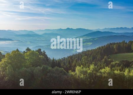 Bregenz: Vista dal monte Pfänder a Bregenzerwald (Foresta di Bregenz), nebbia a Bodensee (Lago di Costanza), Vorarlberg, Austria Foto Stock