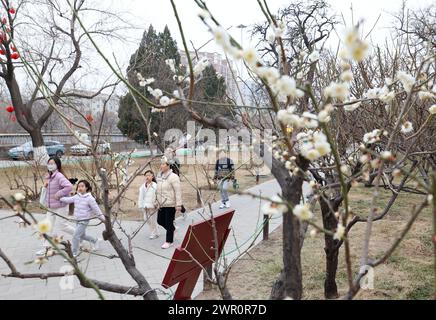 (240310) -- PECHINO, 10 marzo 2024 (Xinhua) -- le persone visitano il Ming City Wall Site Park a Pechino, capitale della Cina, 10 marzo 2024. (Xinhua/Zhang Chenlin) Foto Stock