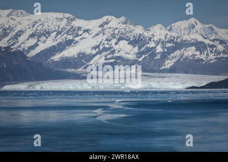 Il maestoso galcier Hubbard, visto da una nave da crociera in Alaska USA Foto Stock