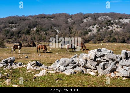 Vista panoramica sul Monte Gennaro, vicino al villaggio di San Polo dei Cavalieri, in provincia di Roma, Lazio, Italia. Foto Stock