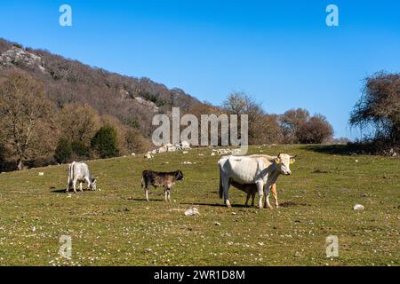 Vista panoramica sul Monte Gennaro, vicino al villaggio di San Polo dei Cavalieri, in provincia di Roma, Lazio, Italia. Foto Stock
