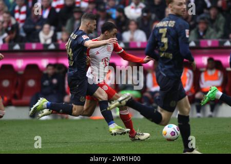 MONACO, Germania - 9. MARZO 2024: Mainz 05 giocatore 14 Tom KRAUSS vs FC Bayern's 42 Jamal MUSIALA durante la partita di Bundesliga Football tra FC Bayern Muenchen e FSV MAINZ 05 all'Allianz Arena di Monaco il 9. Marzo 2024 , Germania. DFL, Fussball, 8:1, (foto e copyright @ ATP Images / Arthur THILL (THILL Arthur / ATP / SPP) Foto Stock