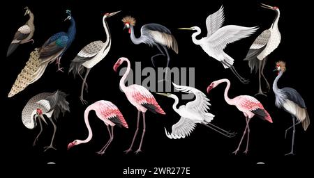 Gli uccelli più grandi hanno uno stile realistico e dettagli di alta qualità. Vettore. Illustrazione Vettoriale
